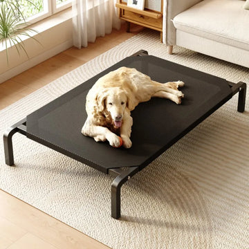 Breathable Dogs Bed